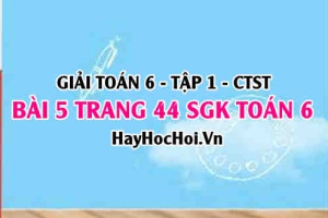 Giải bài 5 trang 44 Toán 6 Tập 1 SGK Chân trời sáng tạo